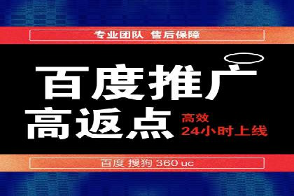 SEM推广优化实战：案例分析与启示